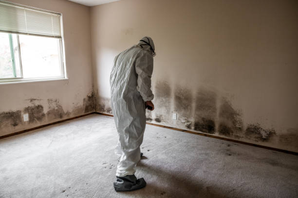 Asbestos and Lead Testing During Mold Inspection in The Hideout, PA